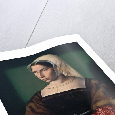 Portrait of Anne Stafford, c.1535 by Ambrosius Benson