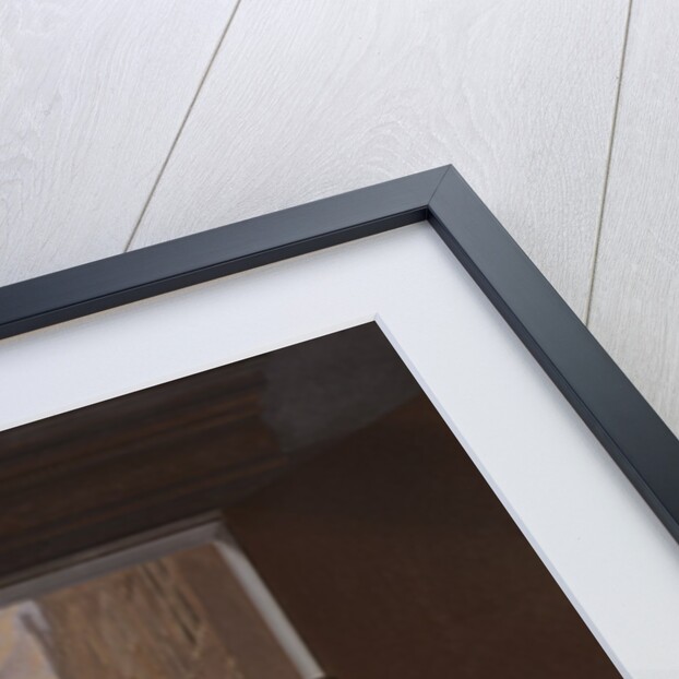 Street Musicians at the Door, 1665 by Jacob Ochtervelt