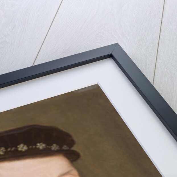 Admiral Gaspard II de Coligny, 1565-70 by Francois Clouet