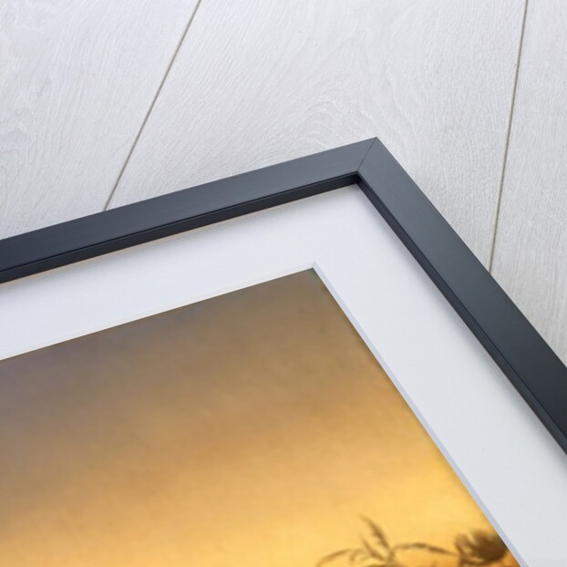 The Captive Charger, 1854 by Charles Ferdinand Wimar