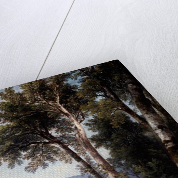 Woodland Landscape, c.1850 by Asher Brown Durand