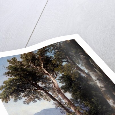 Woodland Landscape, c.1850 by Asher Brown Durand