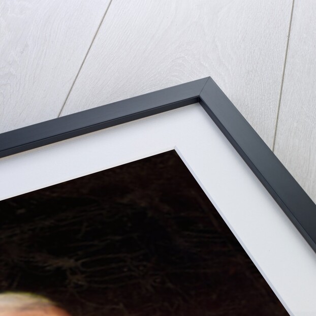 Portrait of David Poignand, 1793 by American School