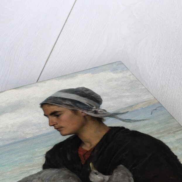 The Wounded Sea Gull, 1878 by Jules Breton