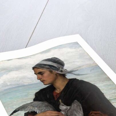 The Wounded Sea Gull, 1878 by Jules Breton