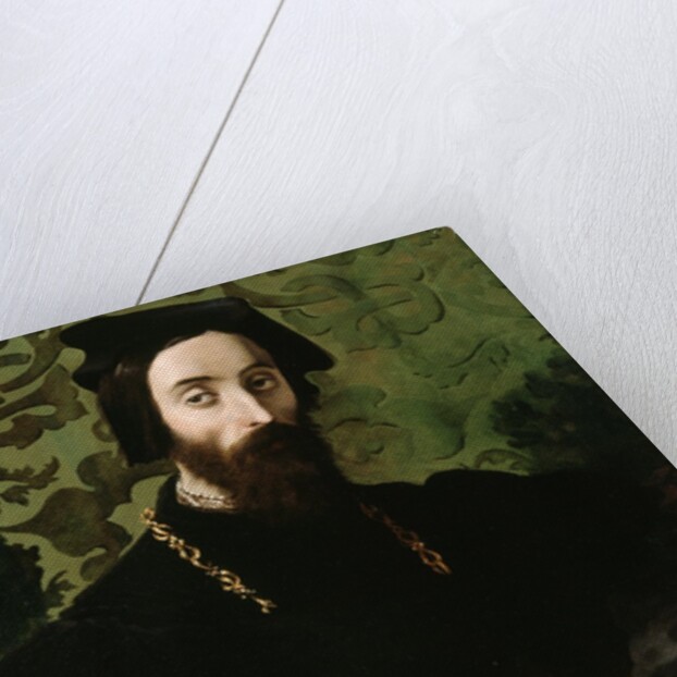 Portrait of a Musician, c.1540 by Girolamo Mazzola Bedoli