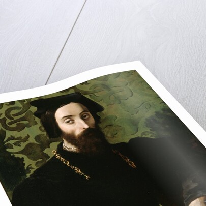 Portrait of a Musician, c.1540 by Girolamo Mazzola Bedoli