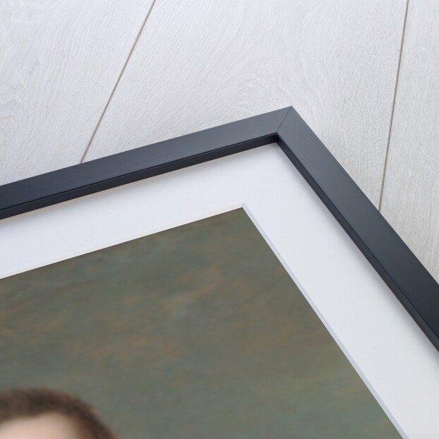 Portrait of a Lady, 1738 by Jean-Marc Nattier