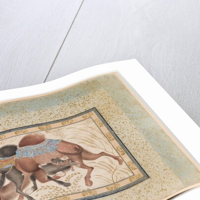 Two Camels Fighting by Anonymous