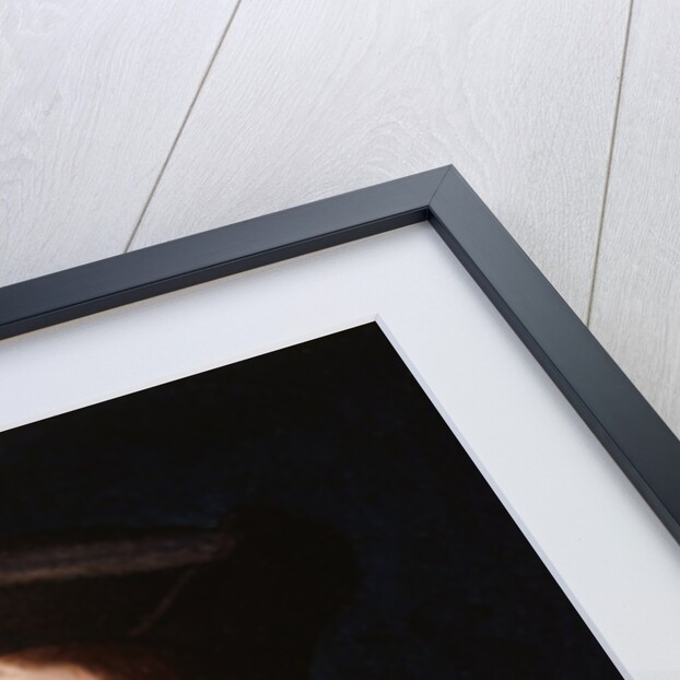 Portrait of a Banker, 1522 by Jean Clouet