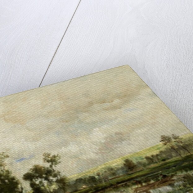 The Edge of the Pond, 1873 by Charles Francois Daubigny