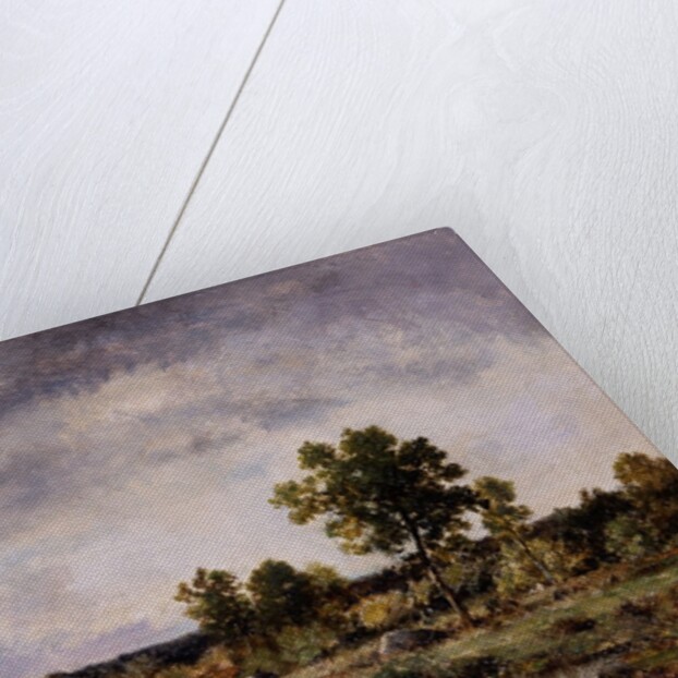 Landscape, 19th century by Narcisse Virgile Diaz de la Pena