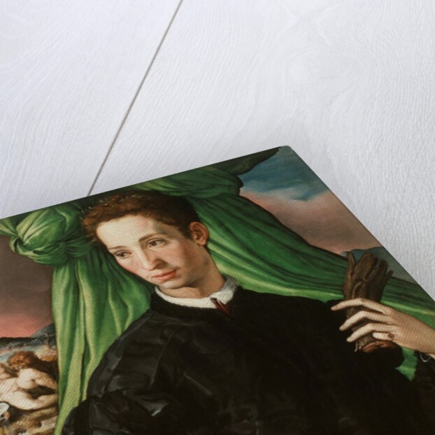 Portrait of a Florentine Nobleman, 1546-48 by Francesco de Rossi Salviati Cecchino