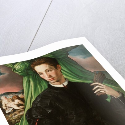 Portrait of a Florentine Nobleman, 1546-48 by Francesco de Rossi Salviati Cecchino