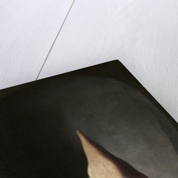 St. Francis contemplating a skull, c.1635 by Francisco de Zurbaran