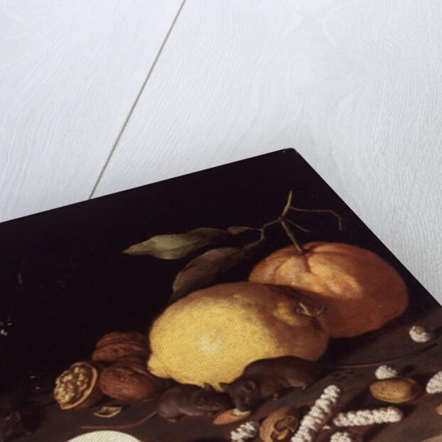 Still Life with Mice, 1619 by Lodewik Susi