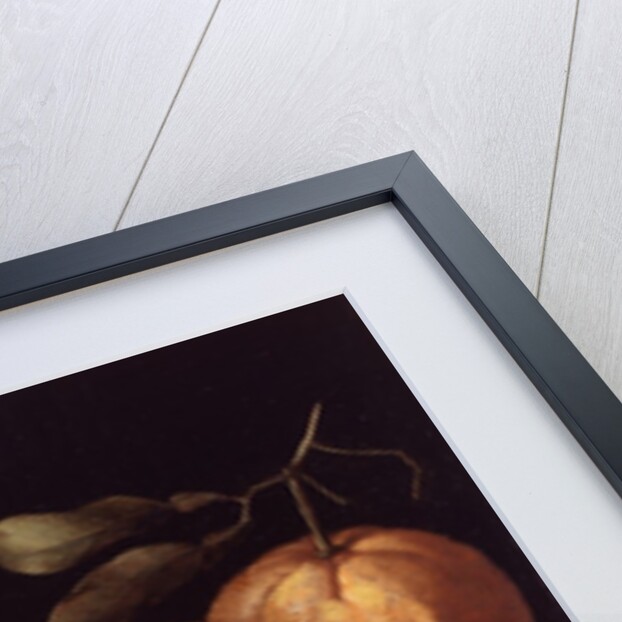 Still Life with Mice, 1619 by Lodewik Susi