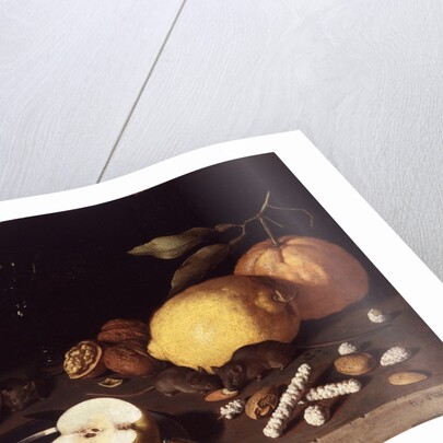 Still Life with Mice, 1619 by Lodewik Susi