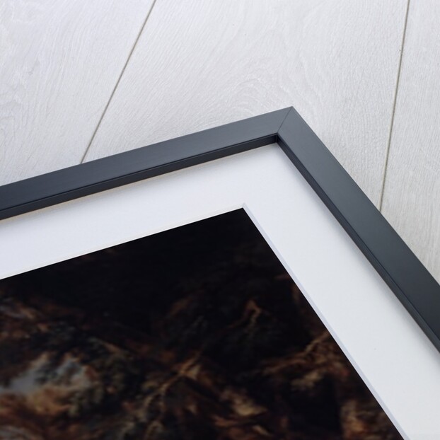 St. John the Baptist preaching in the Wilderness, c.1660 by Salvator Rosa