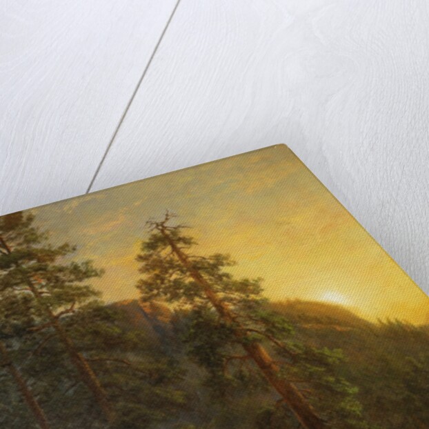 California Redwoods, 1872 by Albert Bierstadt