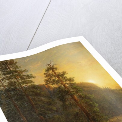 California Redwoods, 1872 by Albert Bierstadt