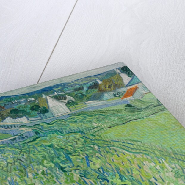 Vineyards at Auvers, June 1890 by Vincent van Gogh