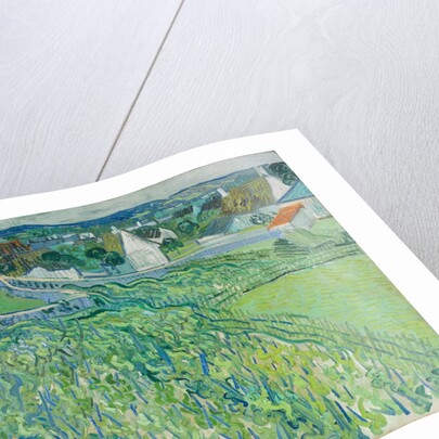 Vineyards at Auvers, June 1890 by Vincent van Gogh