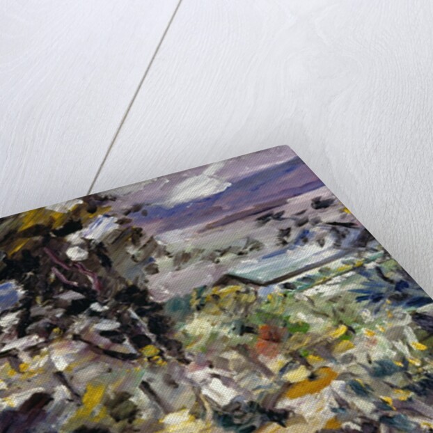 Walchensee, Silverway, 1923 by Lovis Corinth