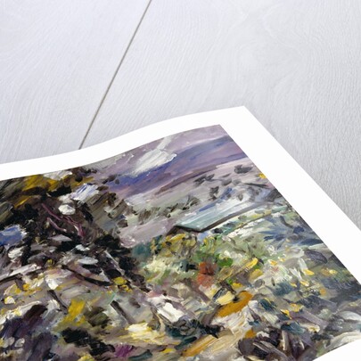 Walchensee, Silverway, 1923 by Lovis Corinth