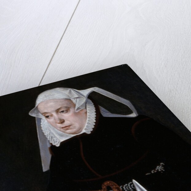 Portrait of a Woman, c.1560-70 by Bartholomaus the Younger Bruyn