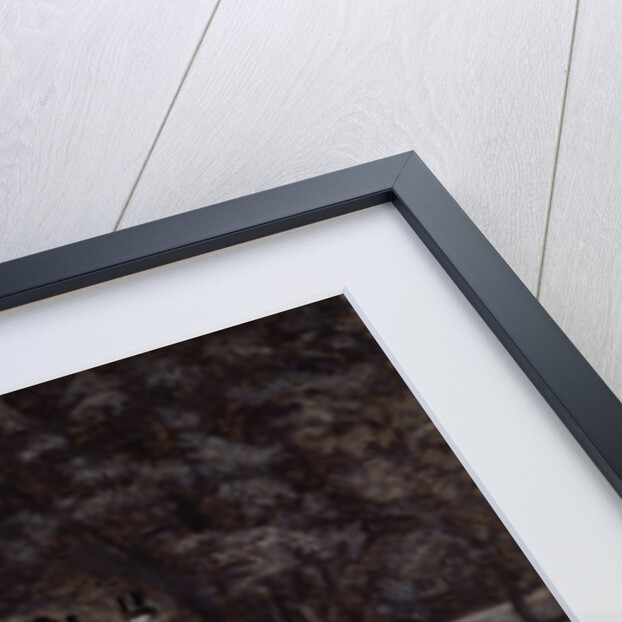 The Fairman Rogers Four-In-Hand 1899 by Thomas Cowperthwait Eakins