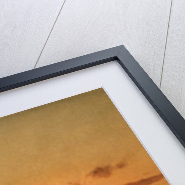 Sunset, Newburyport Meadows, 1863 by Martin Johnson Heade