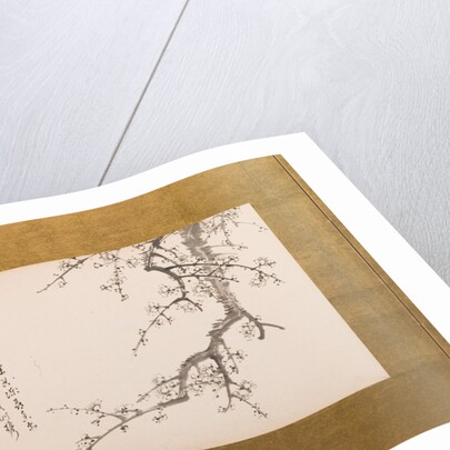 Prunus Blossoms, folding screen, panel 2 of 4, Edo period 1844 by Yamamoto Baiitsu