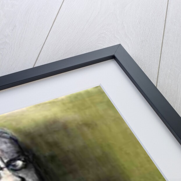 The Lawyer, 1998 by Stevie Taylor