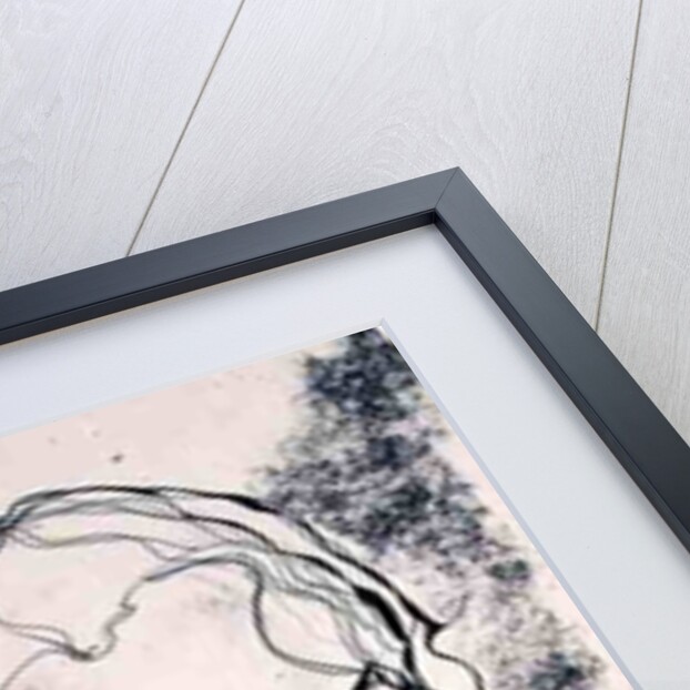 Donna Dee, 1998 by Stevie Taylor