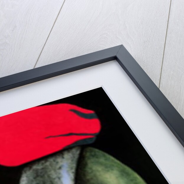 Man/Woman and a Red Horse, 1999 by Stevie Taylor