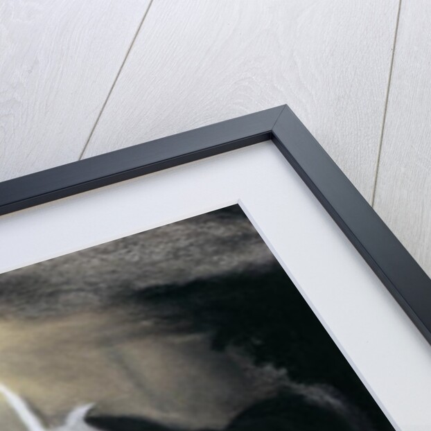 The Spell, 2000 by Stevie Taylor