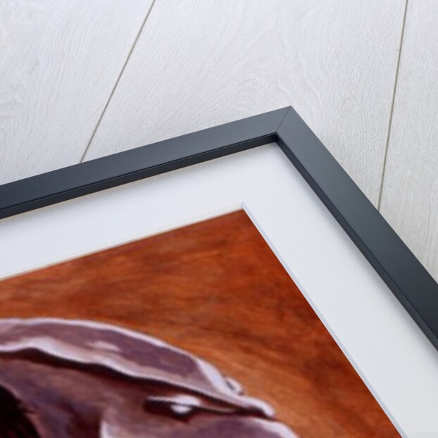 Dreamchasers, 2000 by Stevie Taylor