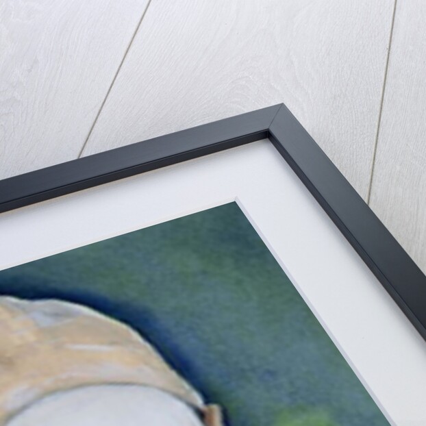 Kabuki, Tamasaburo as Izayoi by Stevie Taylor