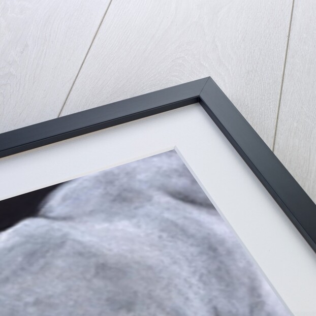 Ghost by Stevie Taylor