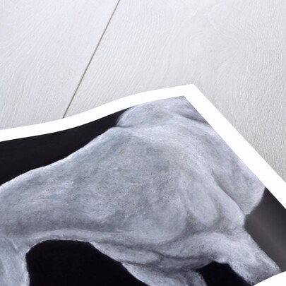 Ghost by Stevie Taylor