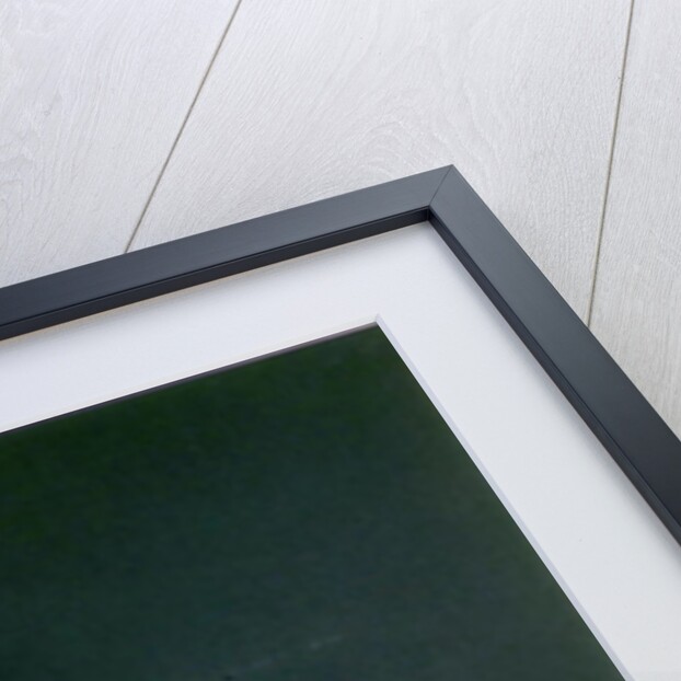 Terracotta Warrior, 2000 by Stevie Taylor