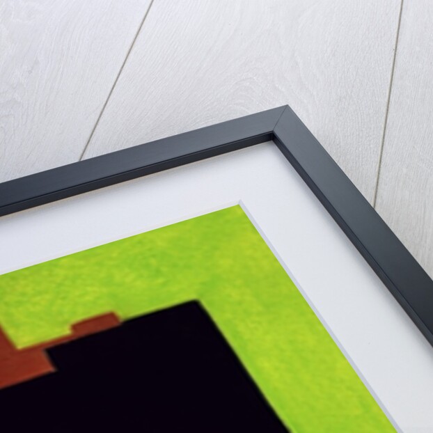 Denial, 1999 by Stevie Taylor