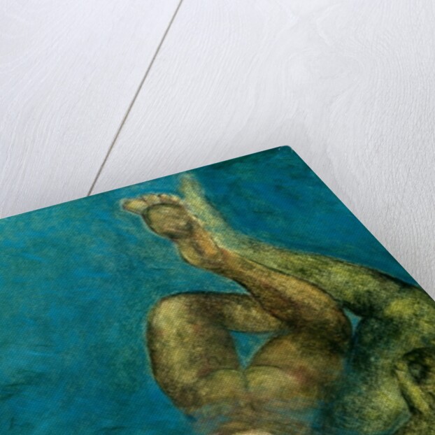 Rescued, 1997 by Stevie Taylor