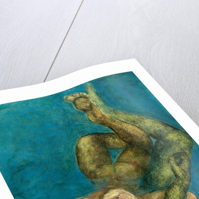 Rescued, 1997 by Stevie Taylor