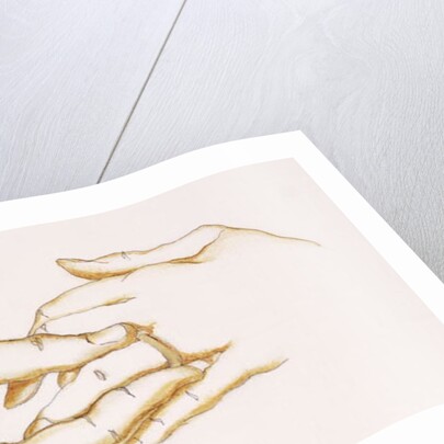 The Ring, 2007 by Stevie Taylor