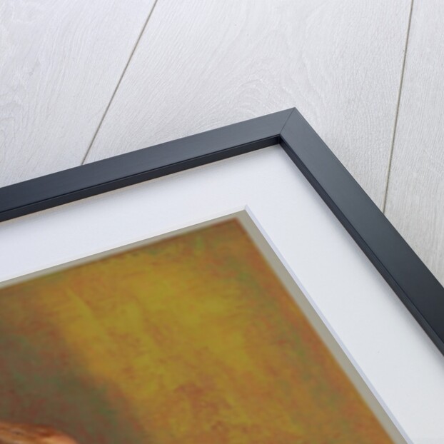 Mistletoe Bringer, 2008 by Stevie Taylor