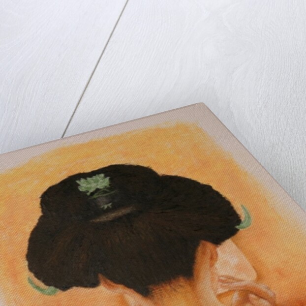 Geisha, 2010 by Stevie Taylor