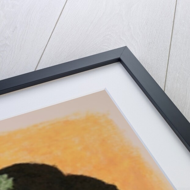 Geisha, 2010 by Stevie Taylor