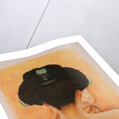 Geisha, 2010 by Stevie Taylor